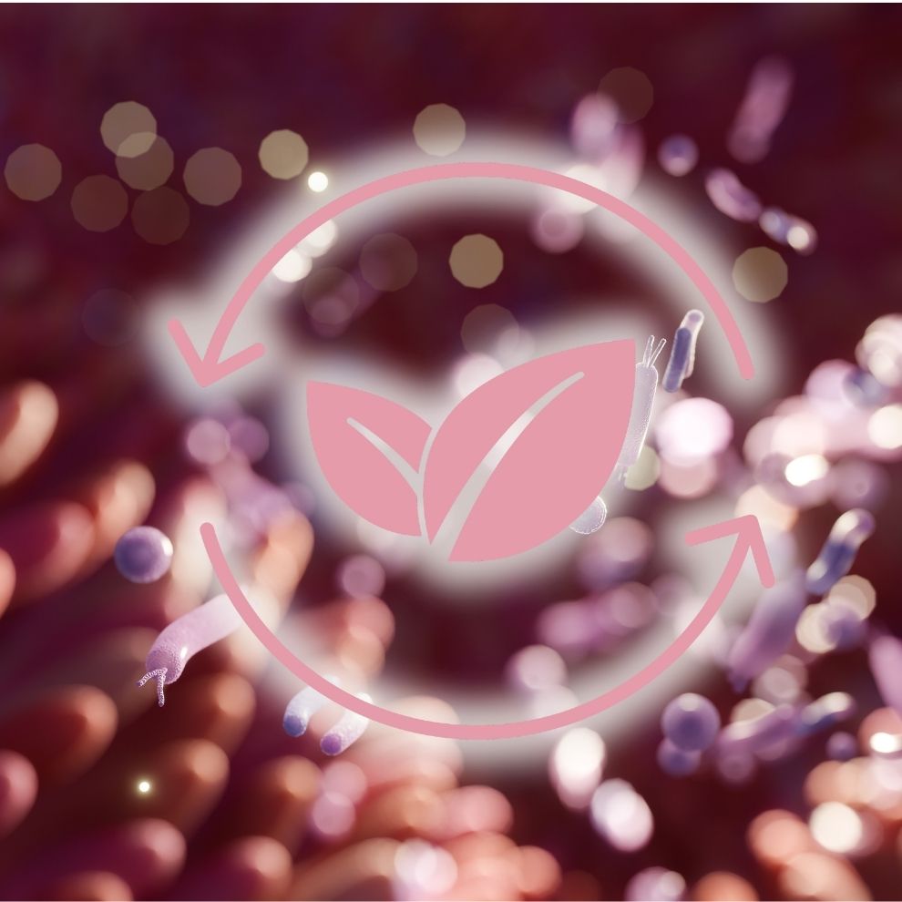 Darmgesundheit & Mikrobiota